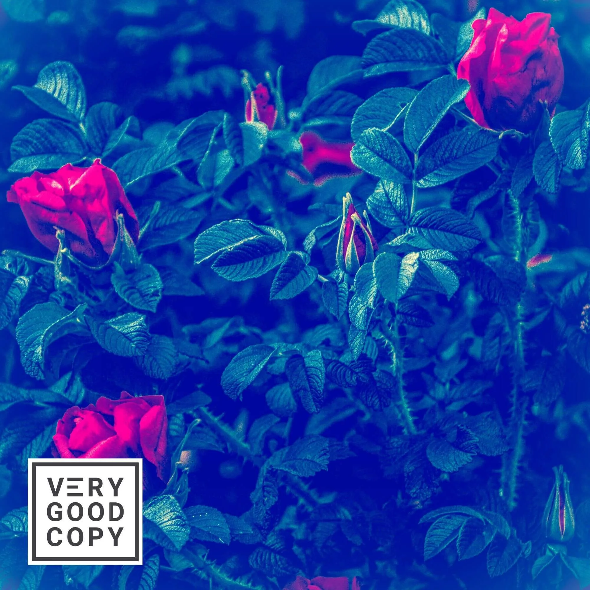 How to create images in your writing