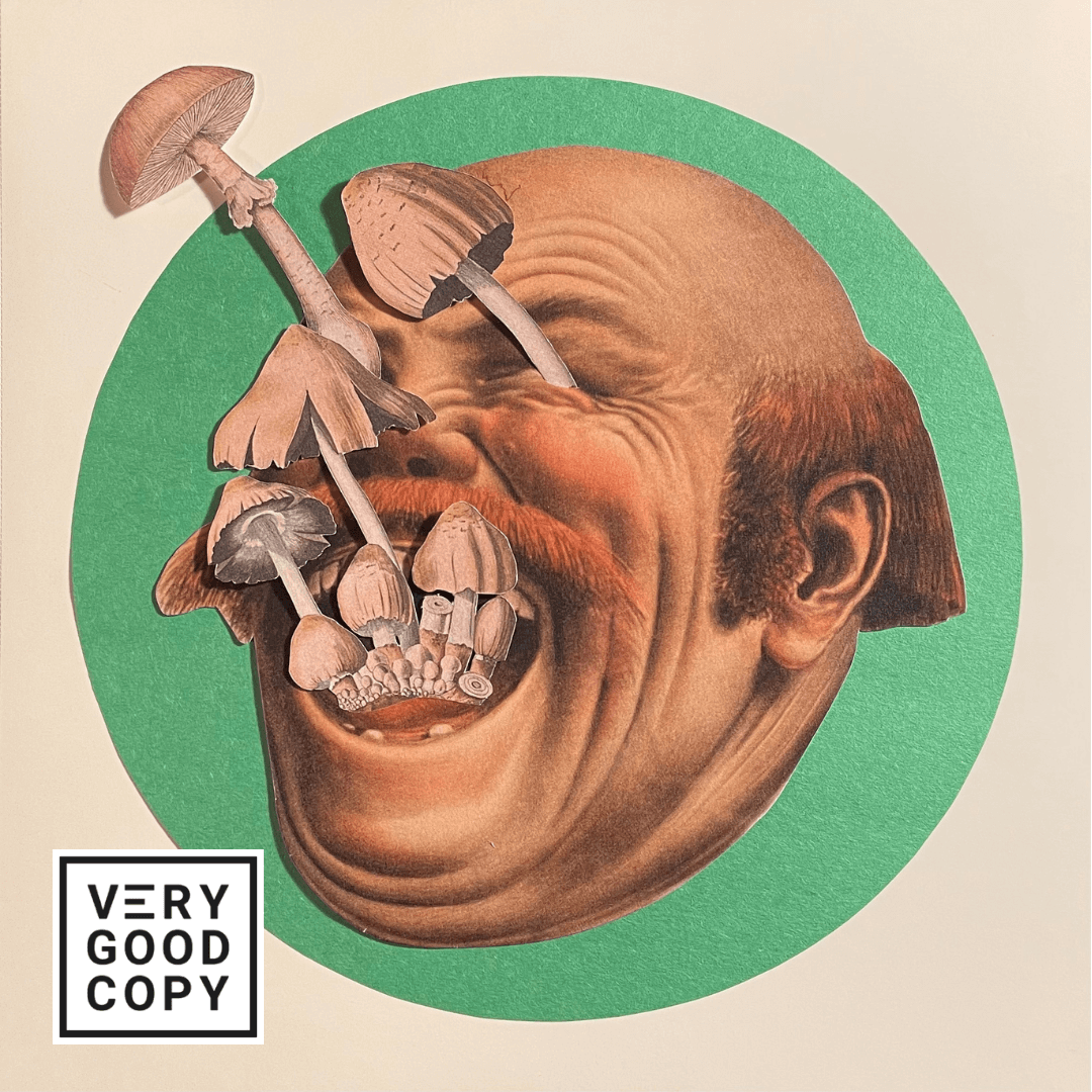 The analog-to-digital loop: