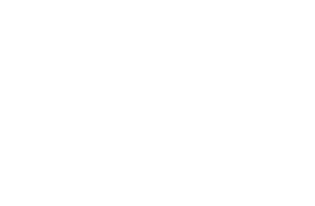 The Tree Fairy Arborist