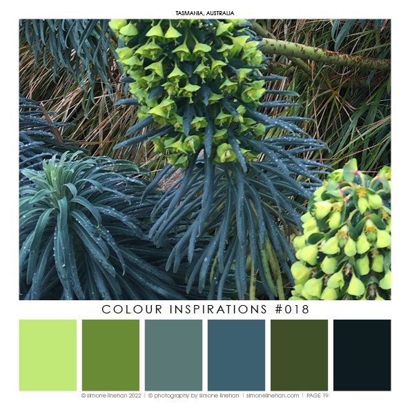 Colour Inspiration BOOK 2022 KDP21.jpg