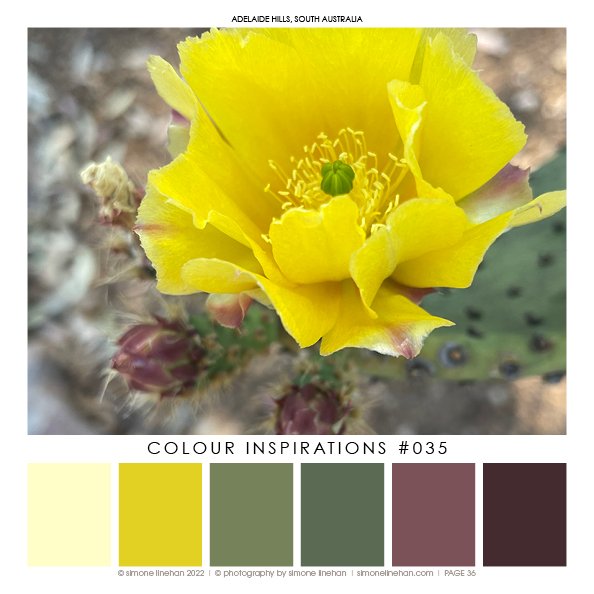 Colour Inspiration BOOK 2022 KDP38.jpg