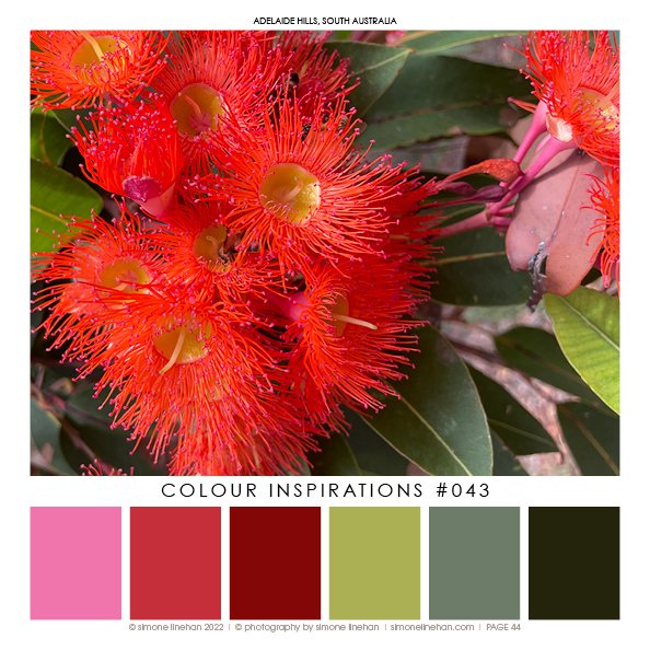 Colour Inspiration BOOK 2022 KDP46.jpg