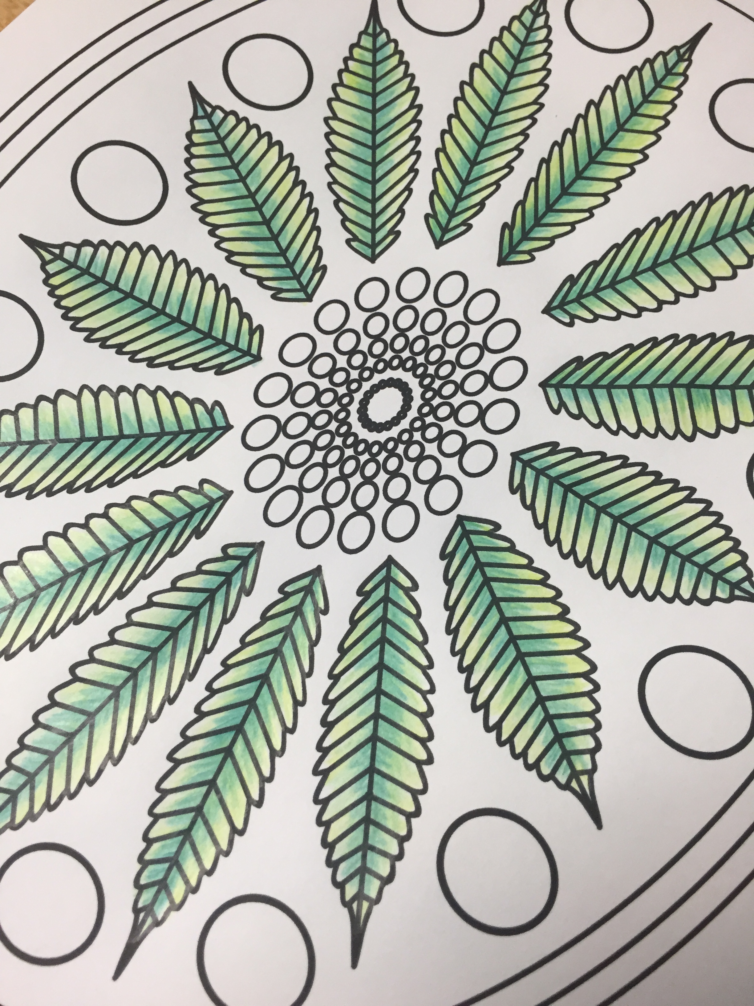 stoner adult coloring