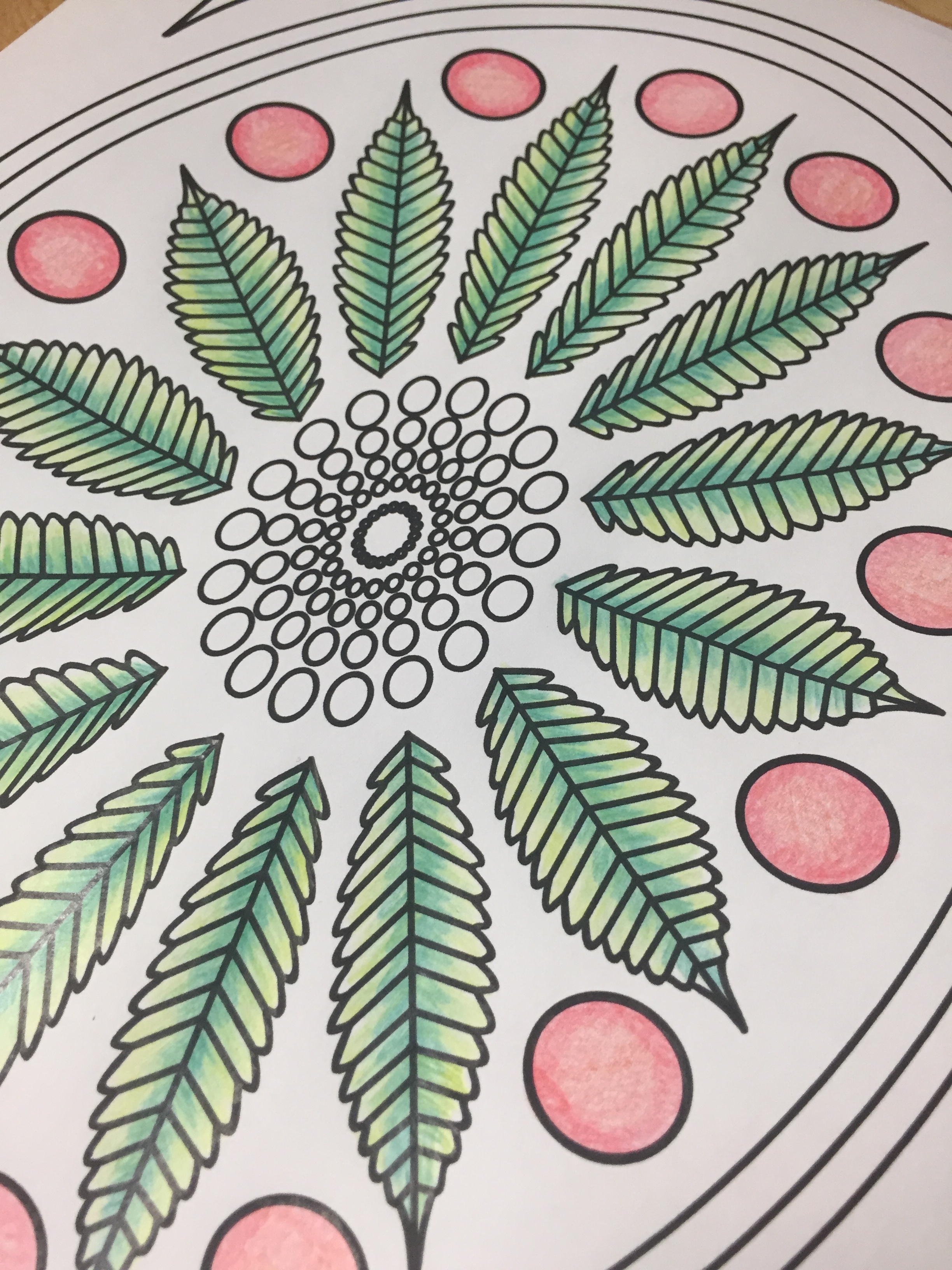 marijuana leaf stoner adult coloring