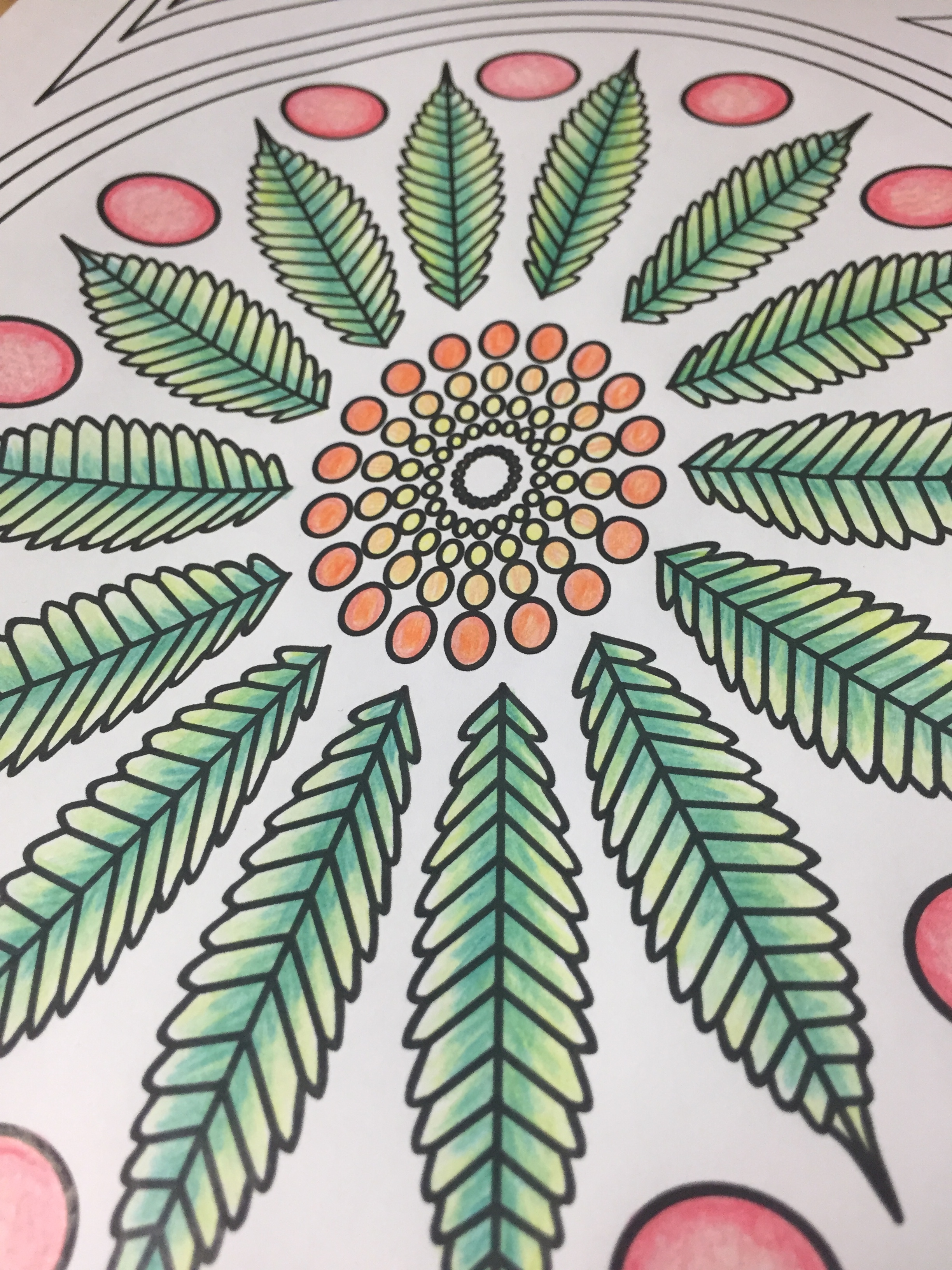 Colored Page Marijuana Mandala Leaf