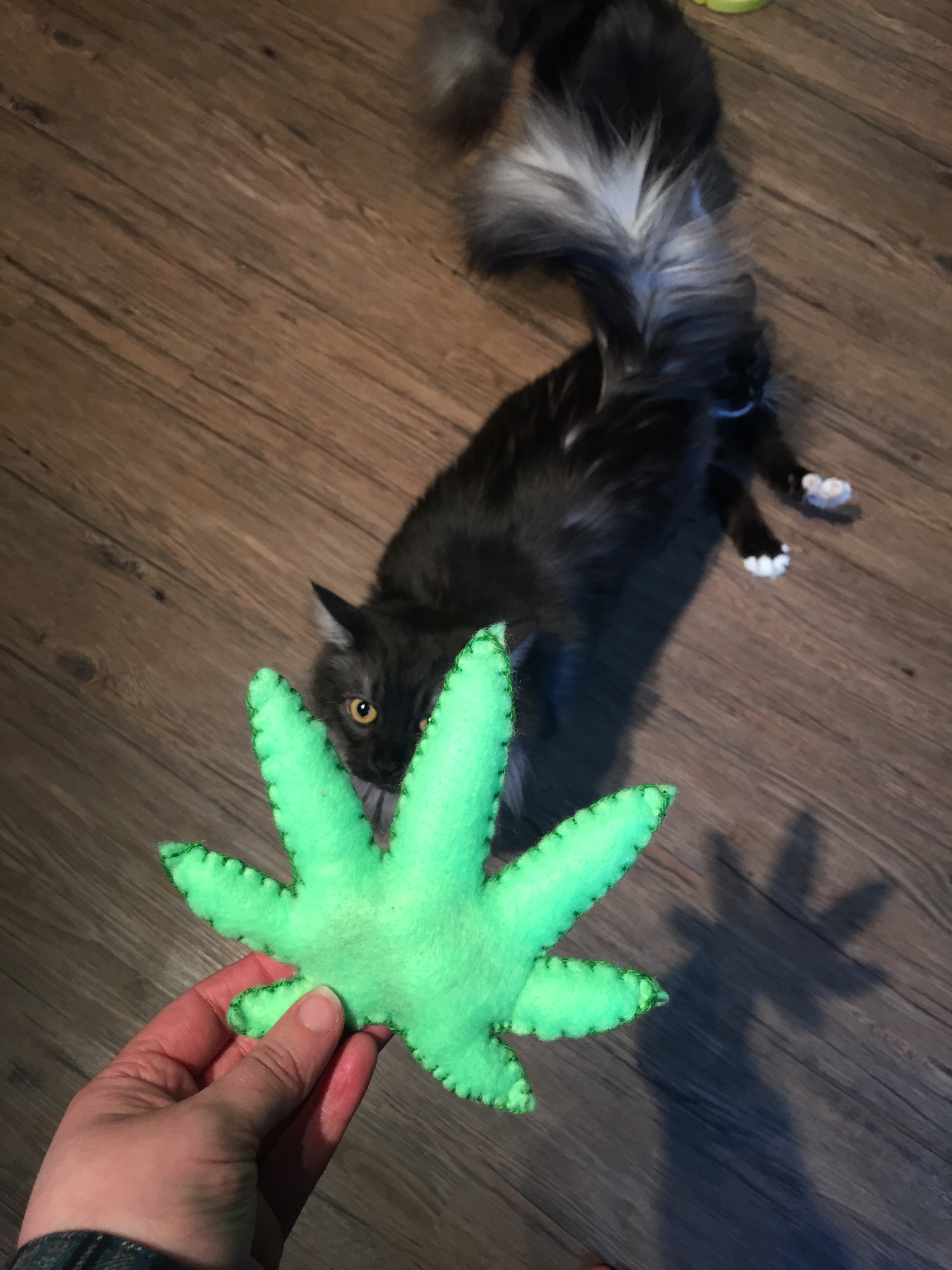 Weed Leaf Cat Nip Toy DIY — CHRONIC CRAFTER