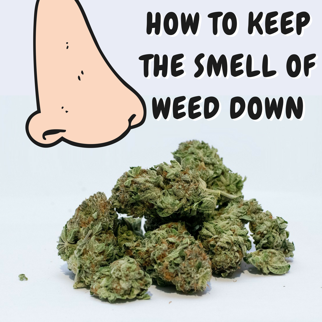 HOW TO KEEP THE SMELL OF WEED DOWN.png
