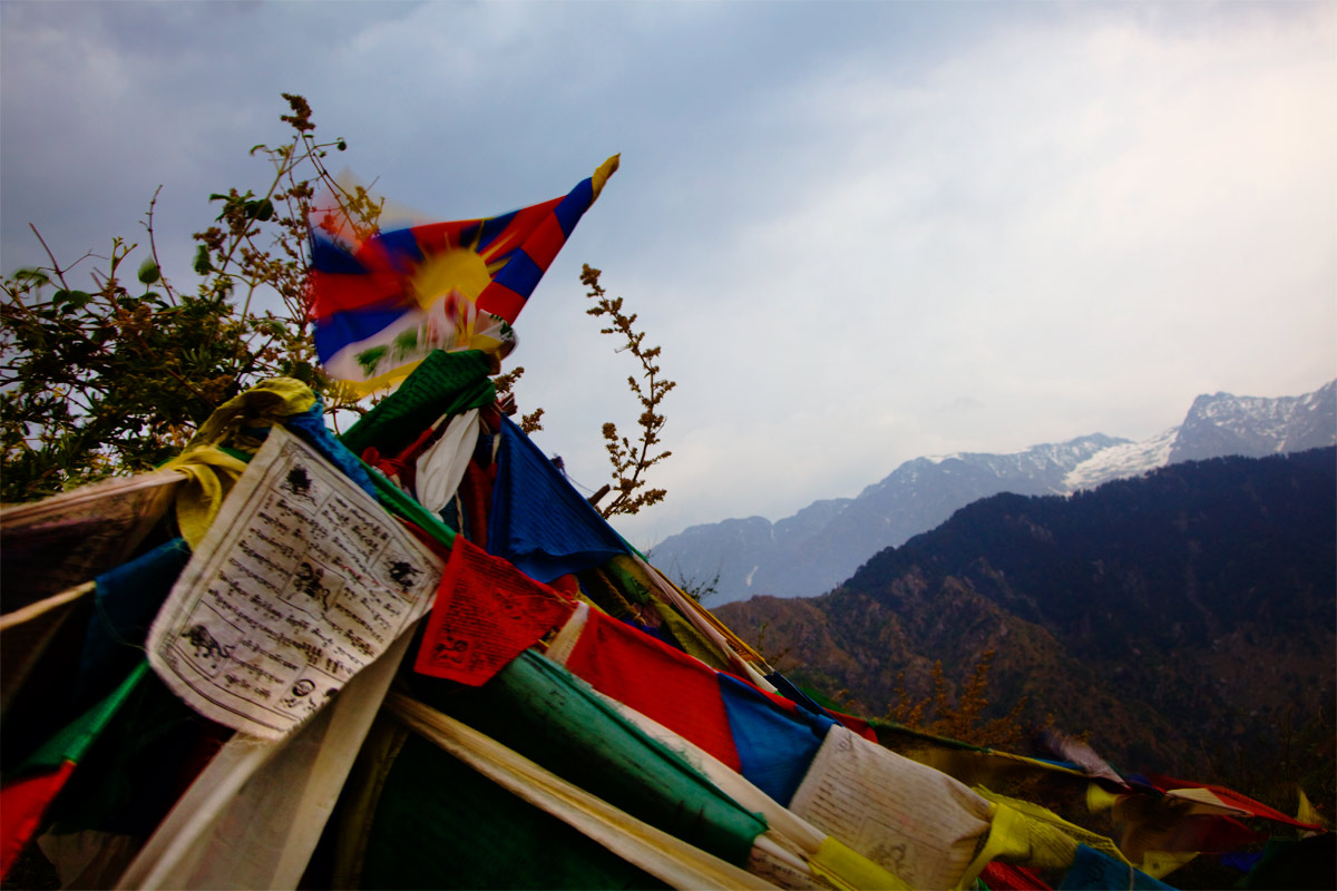 Tibet_flags.jpg