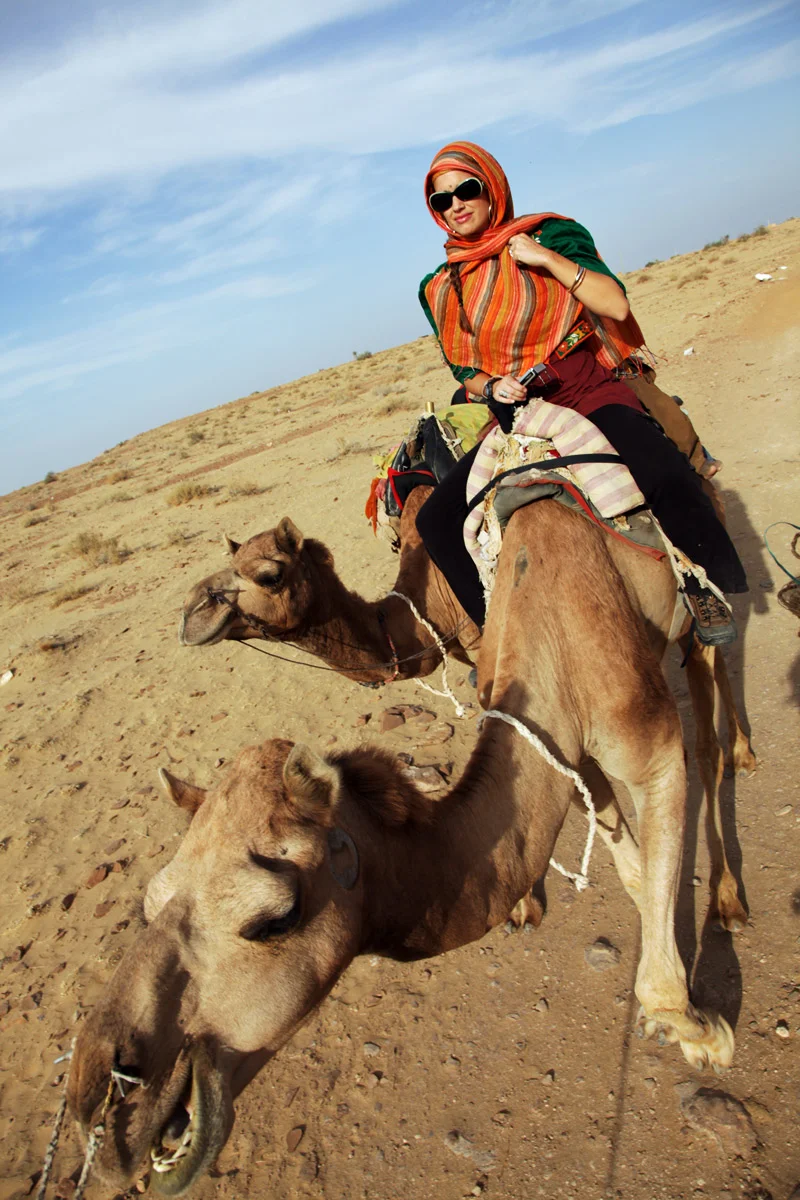 AnnCamel_web.jpg