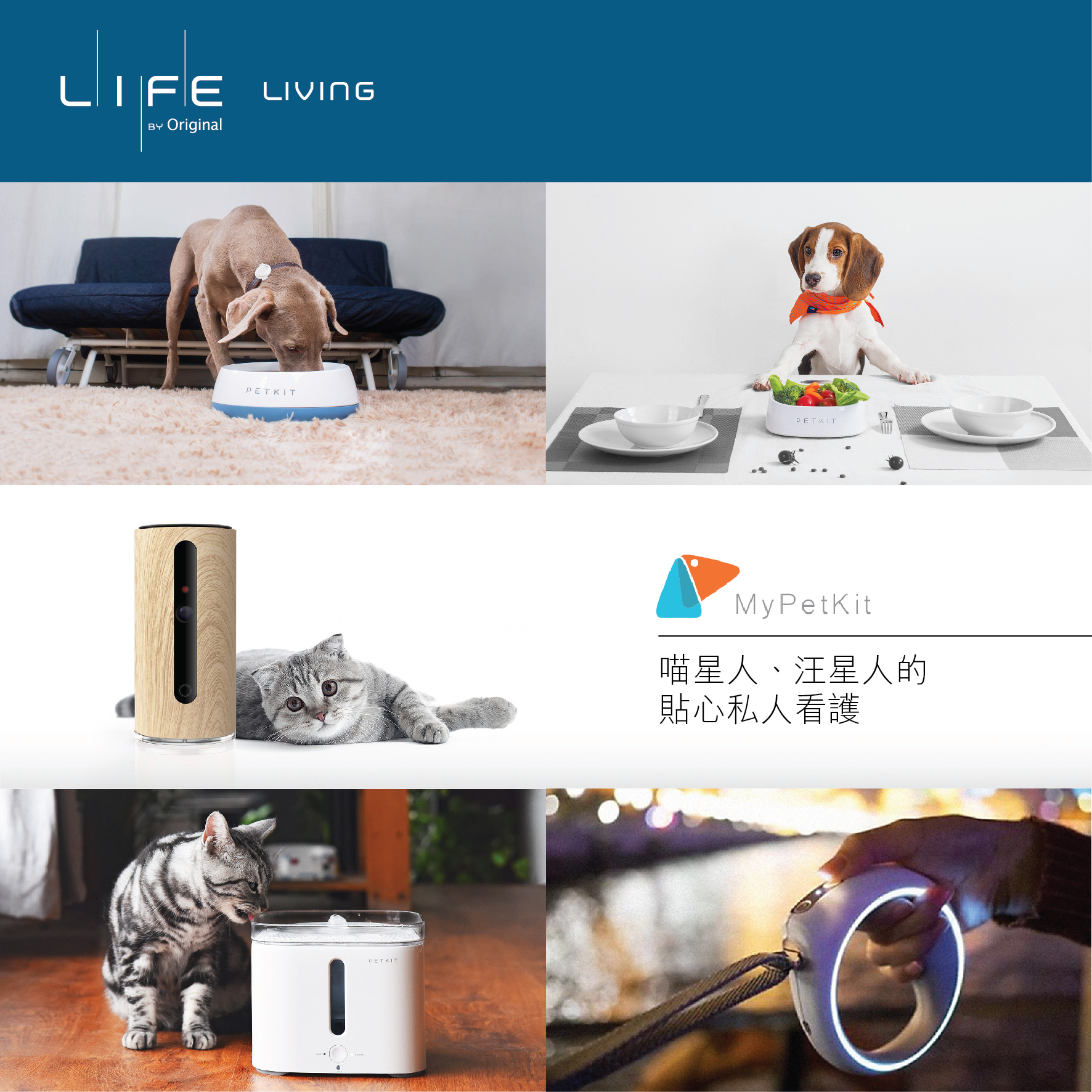 喵星人、汪星人的貼心私人看護 Look after your pets with meticulous care
