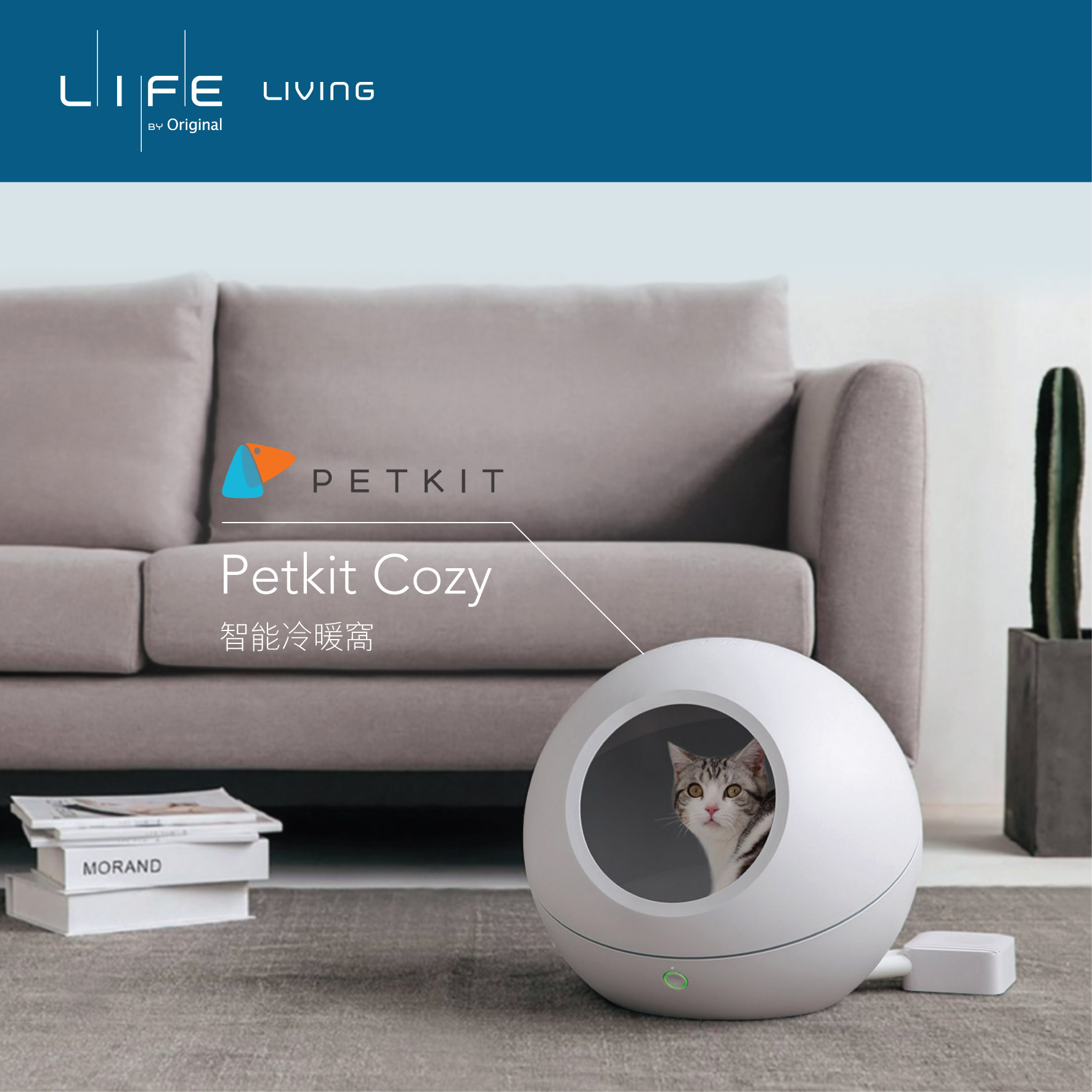 給寵物一個冬暖夏涼的家 – Petkit Cozy