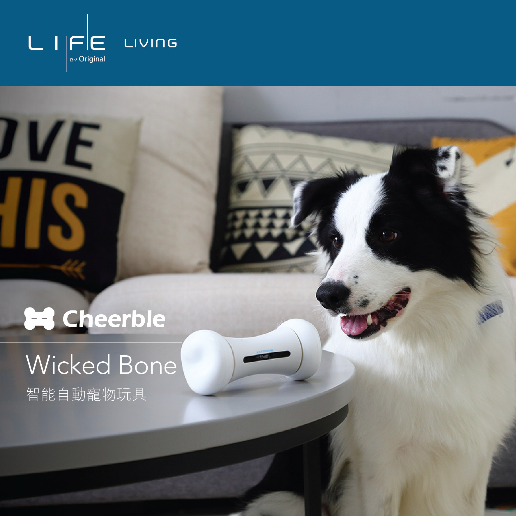 智能寵物玩具 Smart & Interactive dog toy