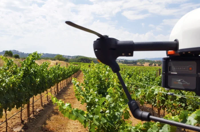 Are Flying Vineyard Drones Creating Better Wine?