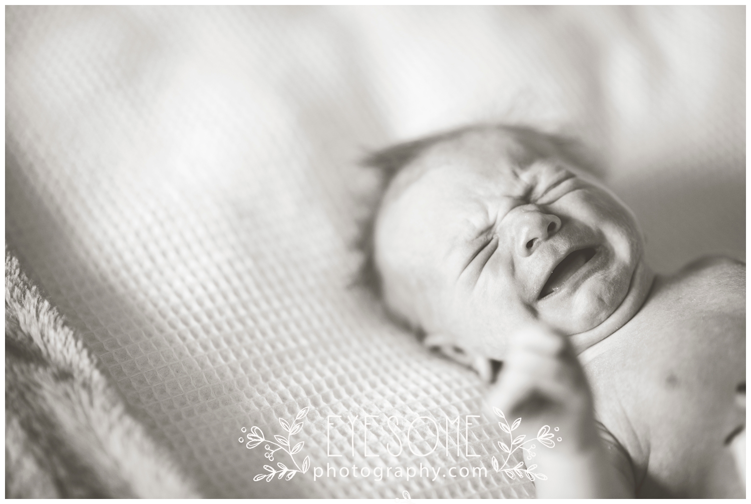 yorkshire newborn family and wedding photographer