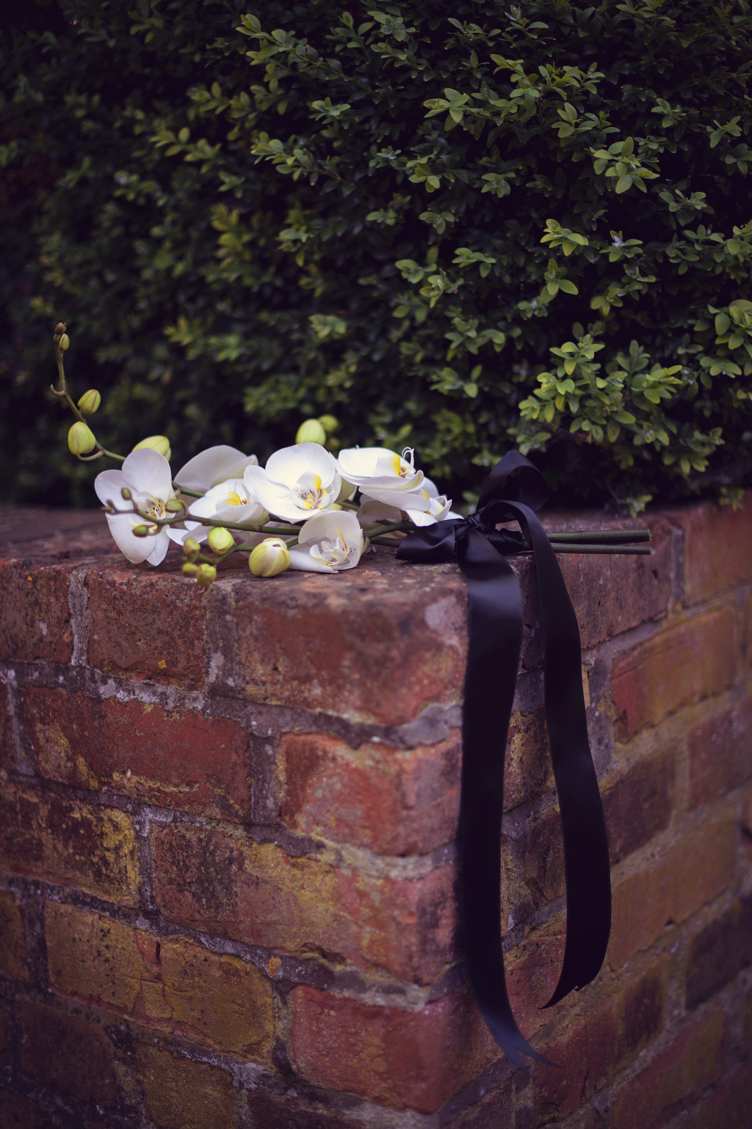 Yorkshire wedding photographer, Orangery Settrington