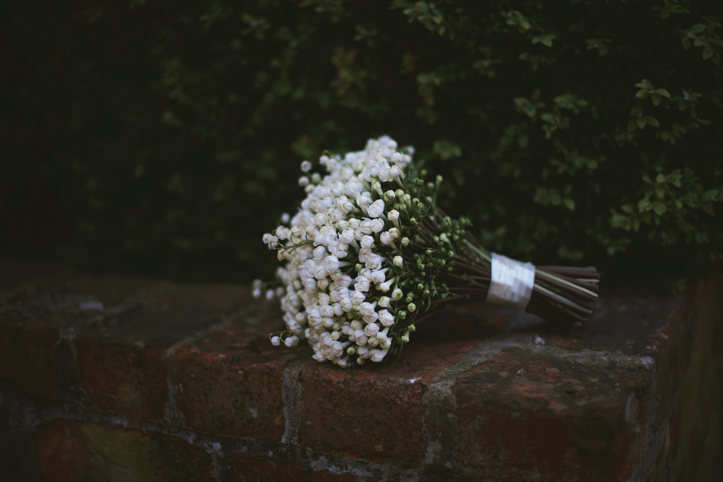 The Orangery Settrington wedding, Yorkshire wedding photographer