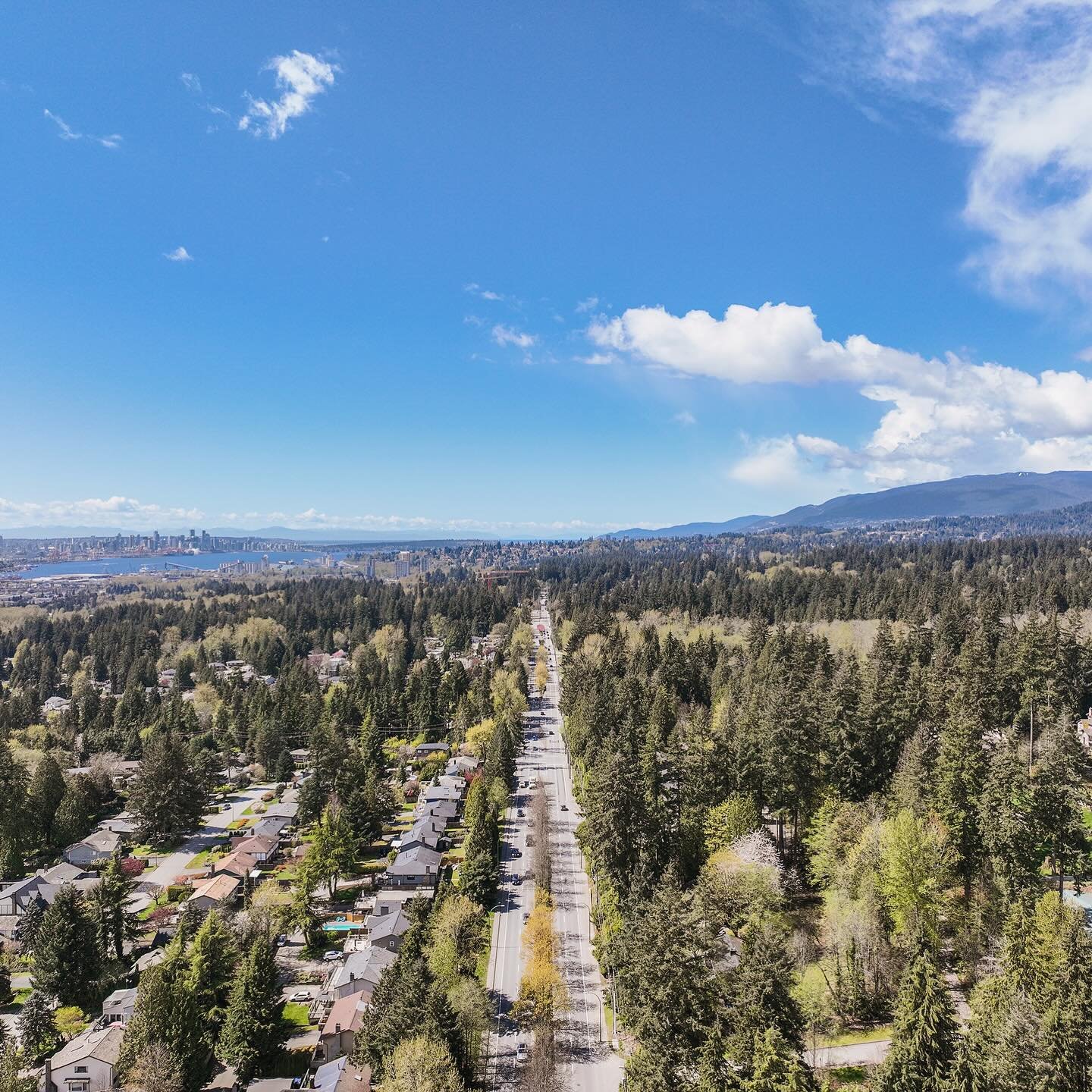 North Shore Market Update | Q1 [Jan - March] 2025 🌸
.
The North and West Vancouver real estate market finds itself caught between momentum and caution this spring, as active sellers meet hesitant buyers.

Spring is typically a busy time for real est