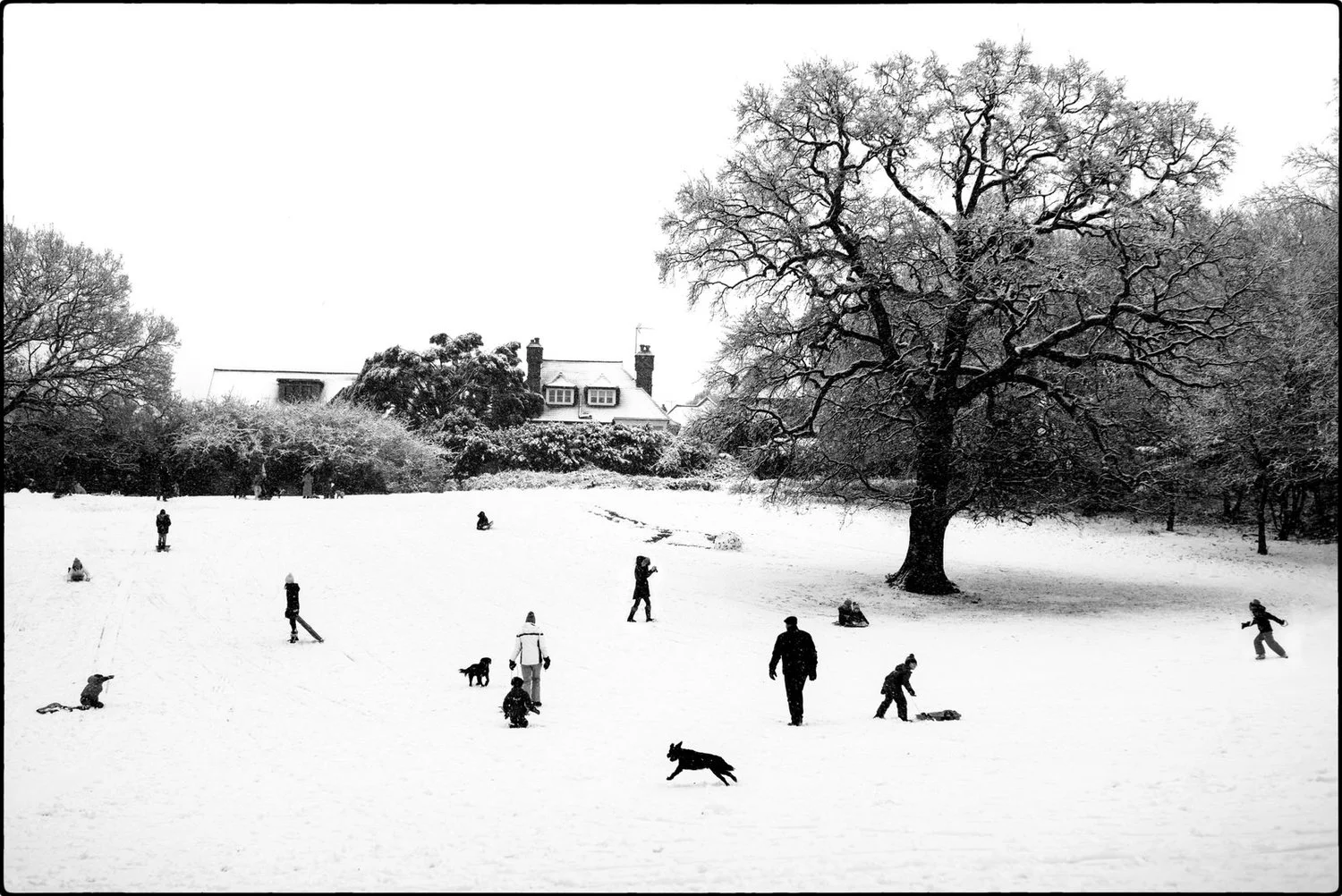 Alan Schaller - Street Photography International 21.jpg