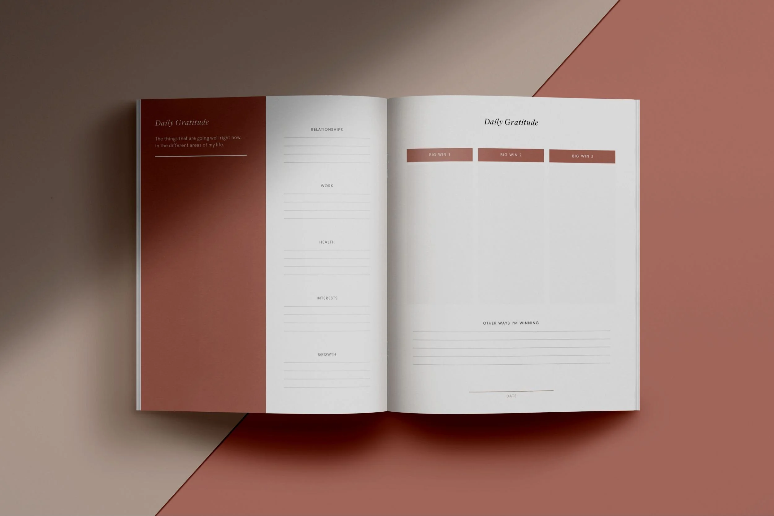 gratitude diary 2.jpg