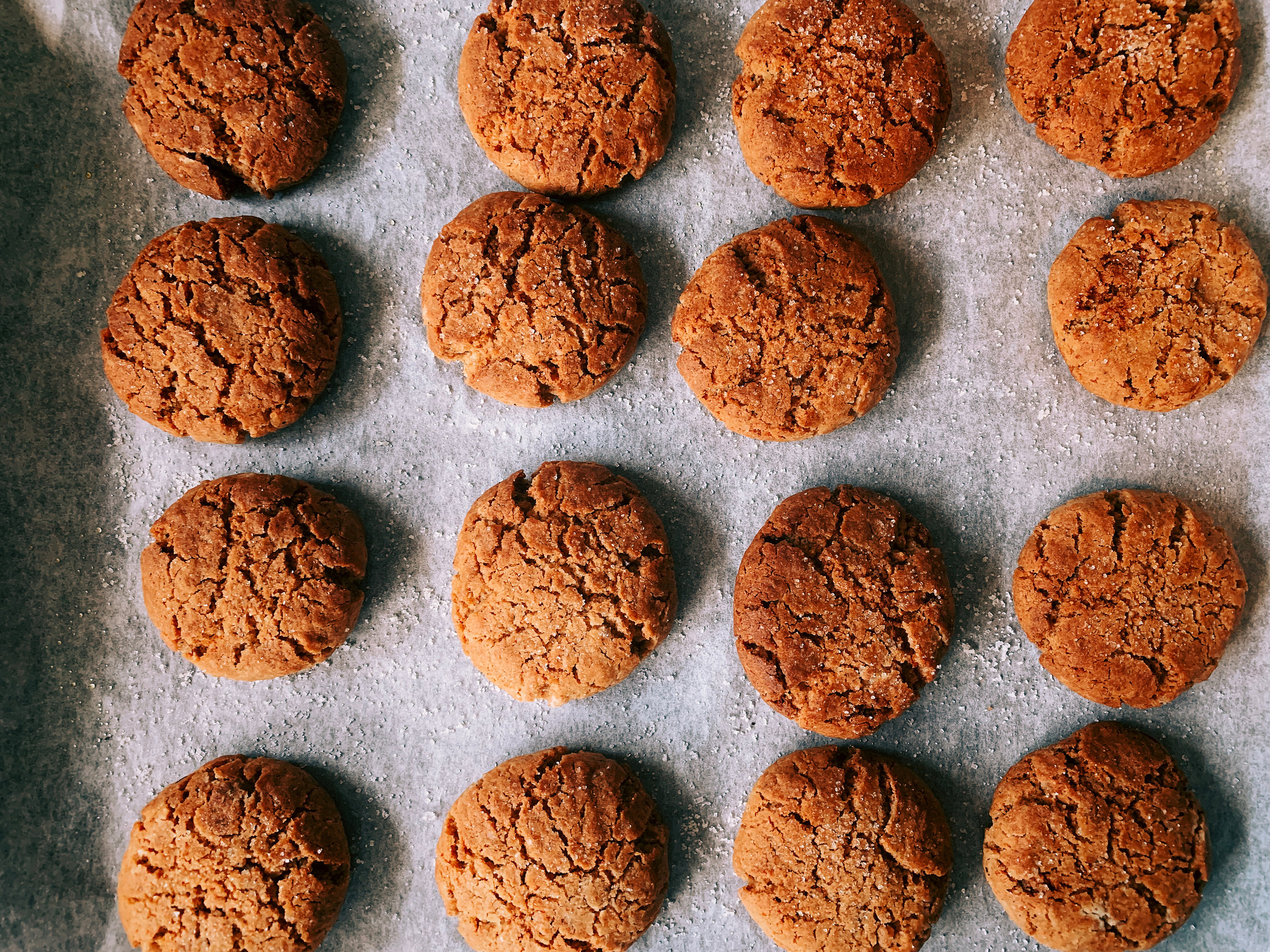 Ginger Biscuits 