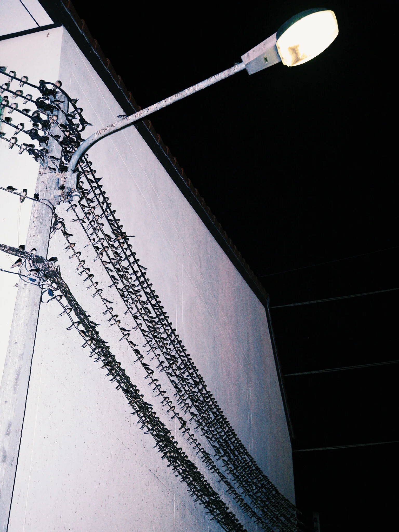 Foto 2007-12-04 13 59 57.jpg