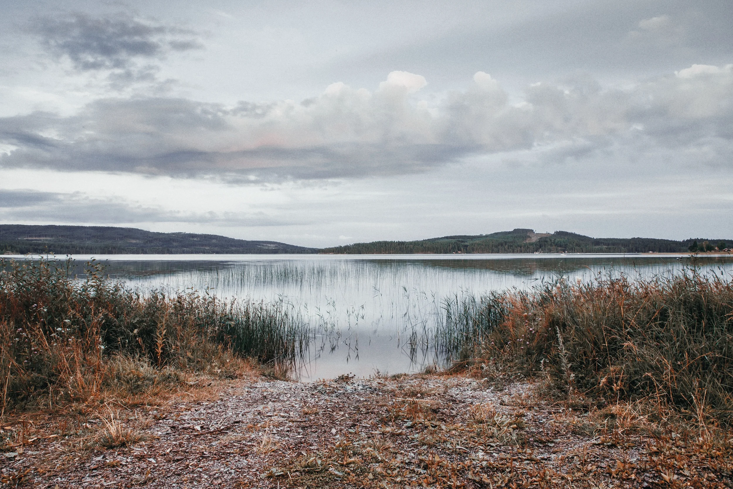 Remember the heart has its seasons