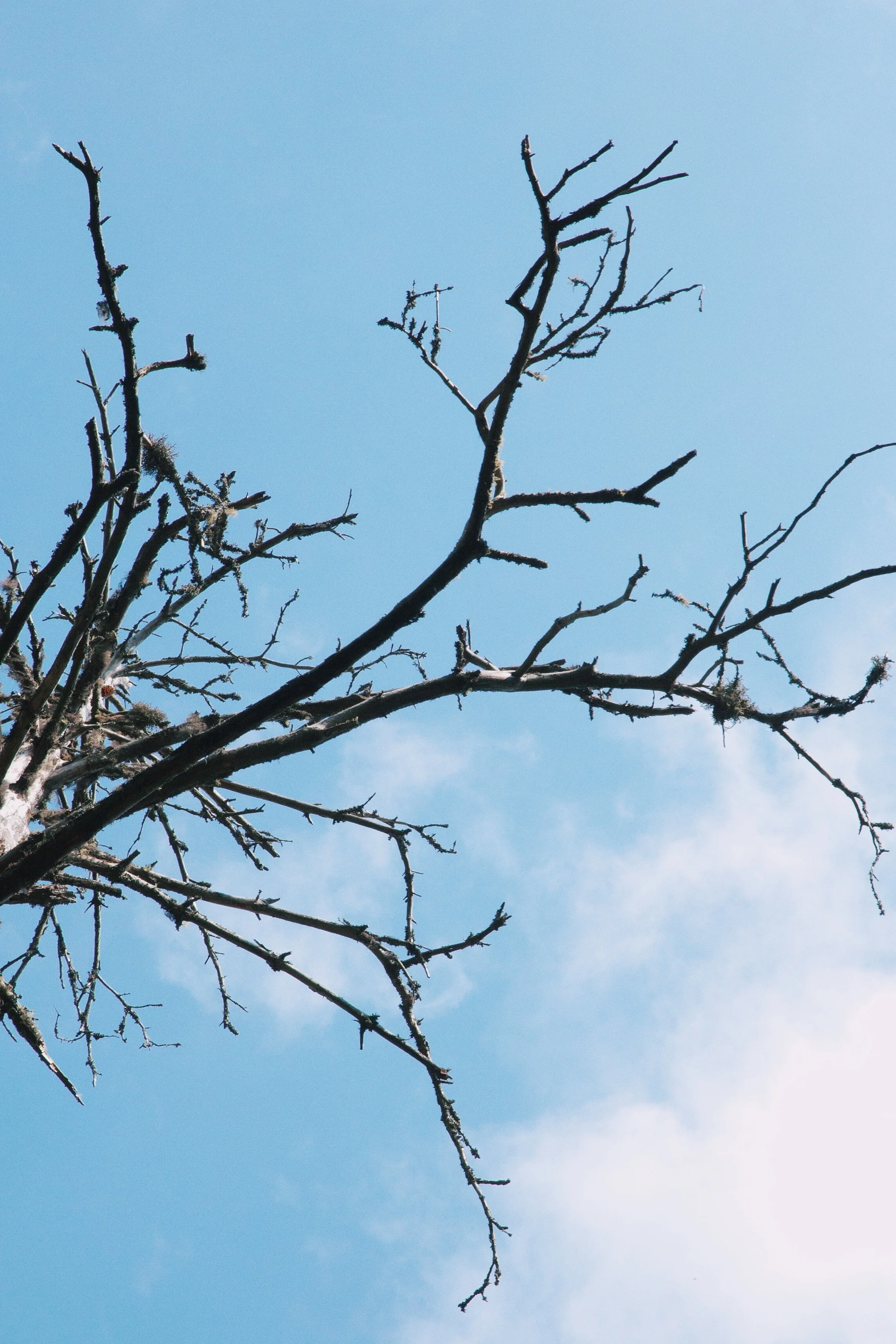 Foto 2015-08-04 14 55 48.jpg