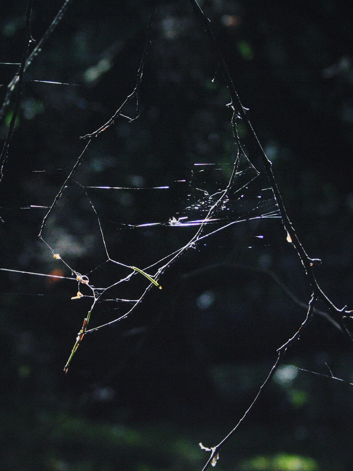 Foto 2007-09-05 10 17 00.jpg