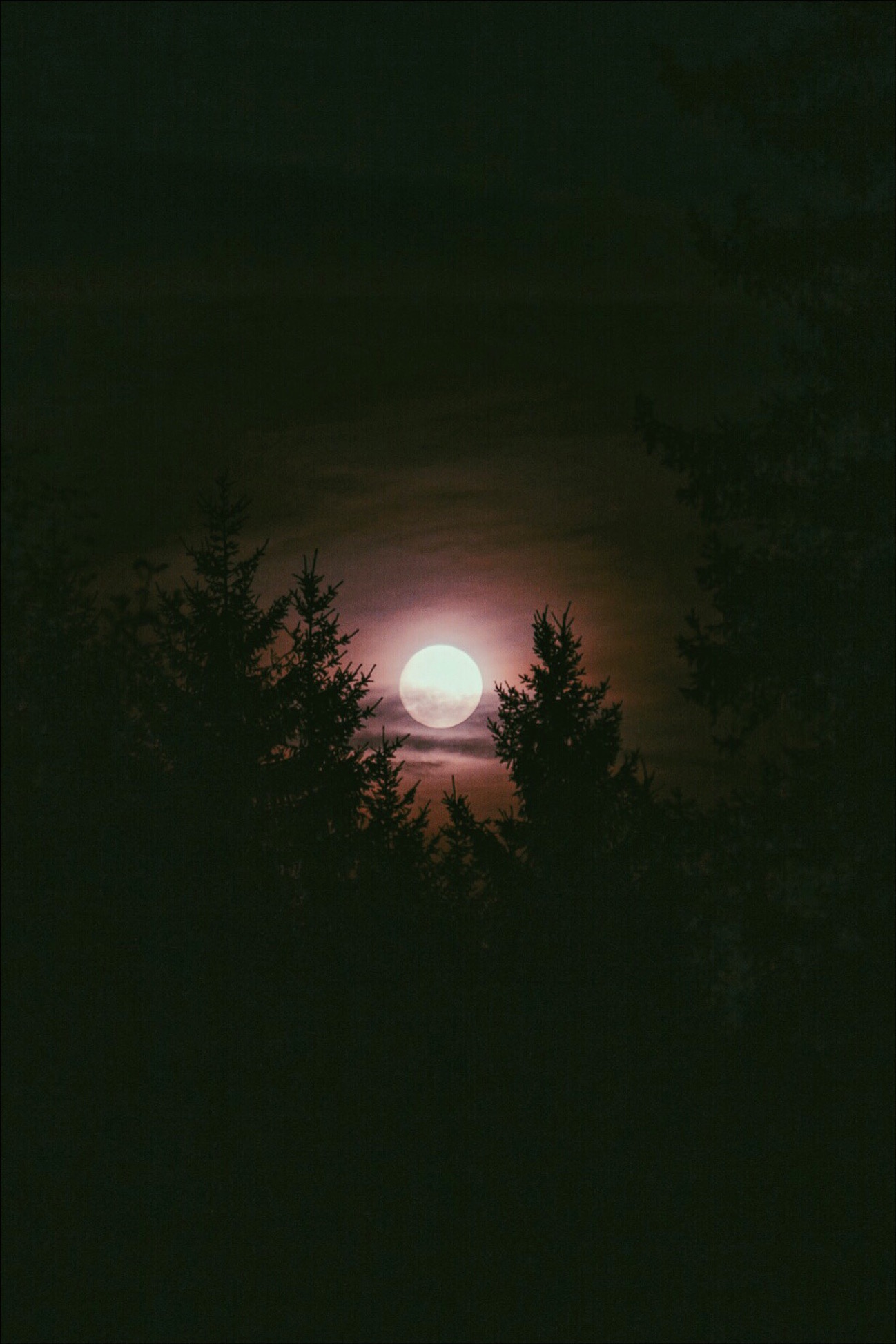 Be careful what you wish for