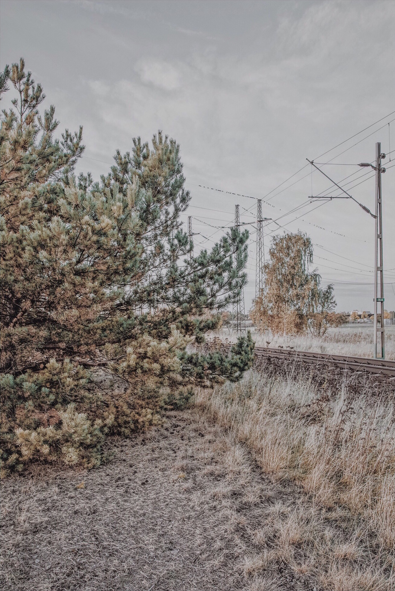 He pushed me into the wall