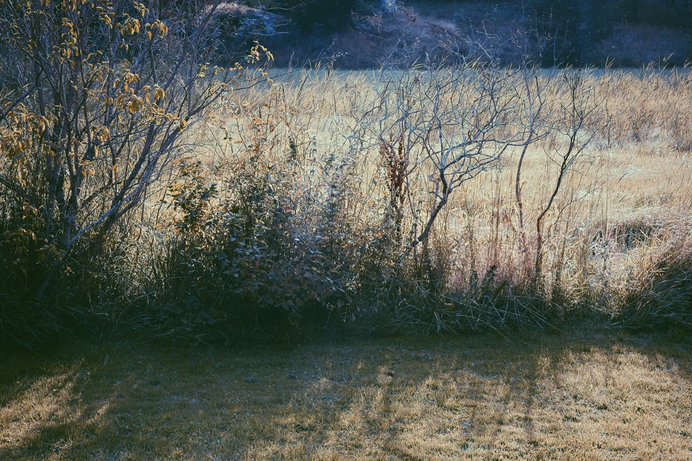 alba.giertz-Foto 2009-08-22 18 20 23.jpg