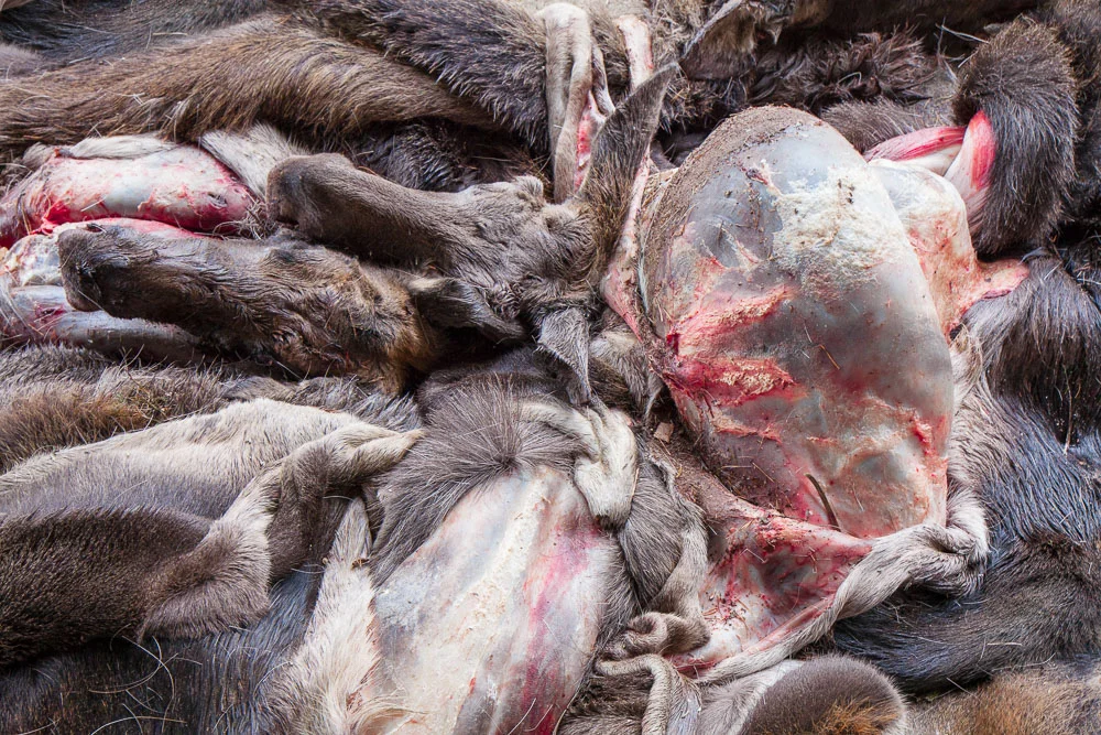 "Love you until infinity"