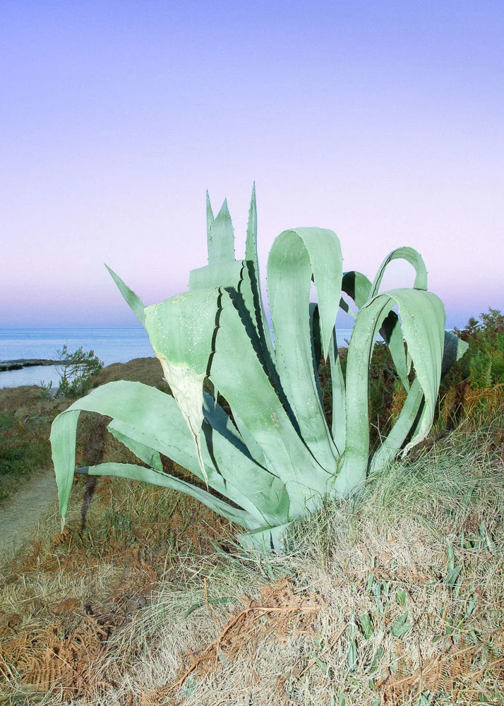 The roots grew deeper 