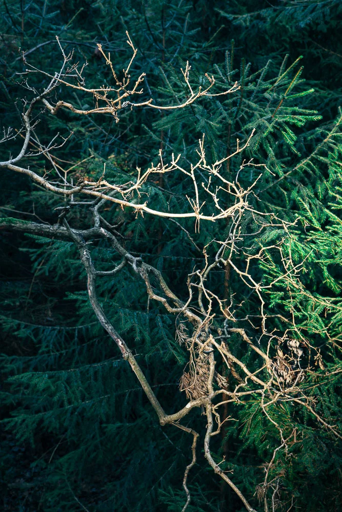 Exist because you can