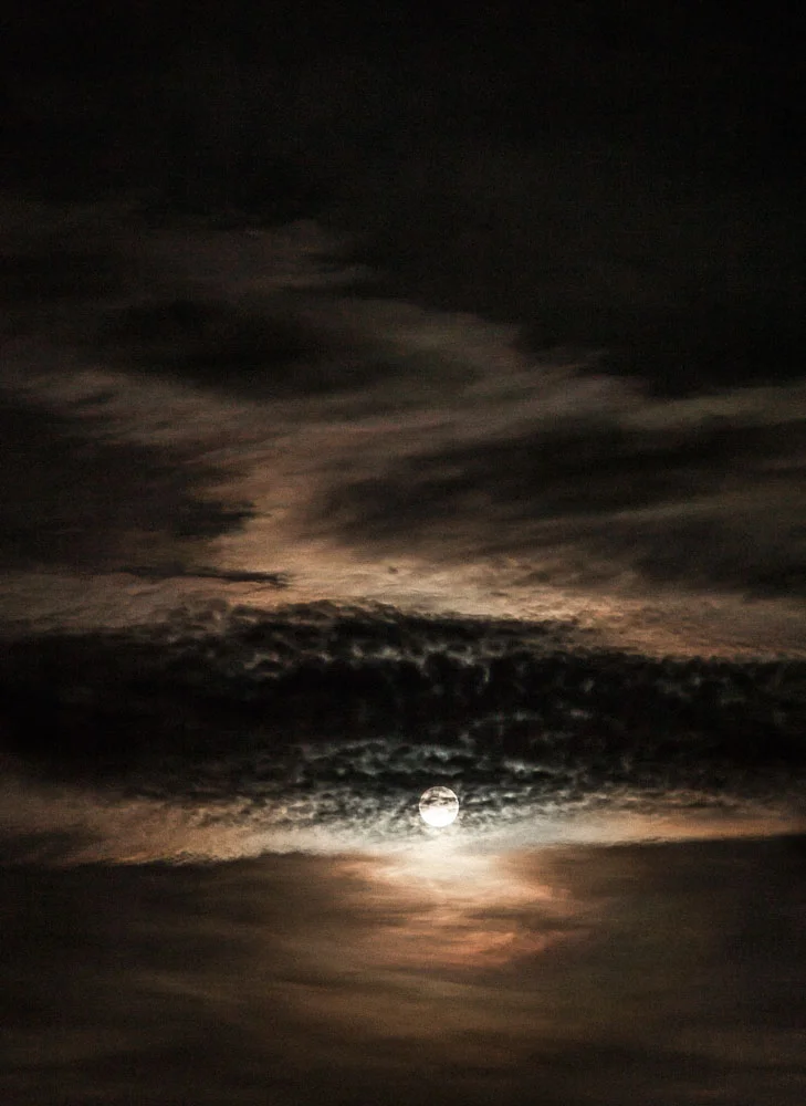 What you tell them becomes the truth