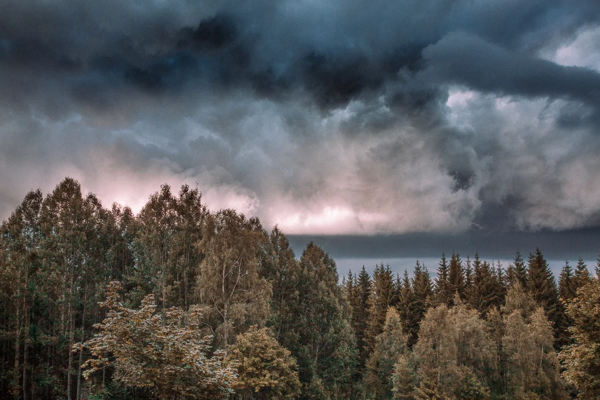 Alba.Giertz.%22a gift that can't be taught%222015.medium.WEB.jpg