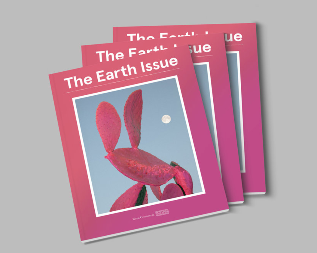 2017 Archive Collective Magazine- the earth issue (cover)