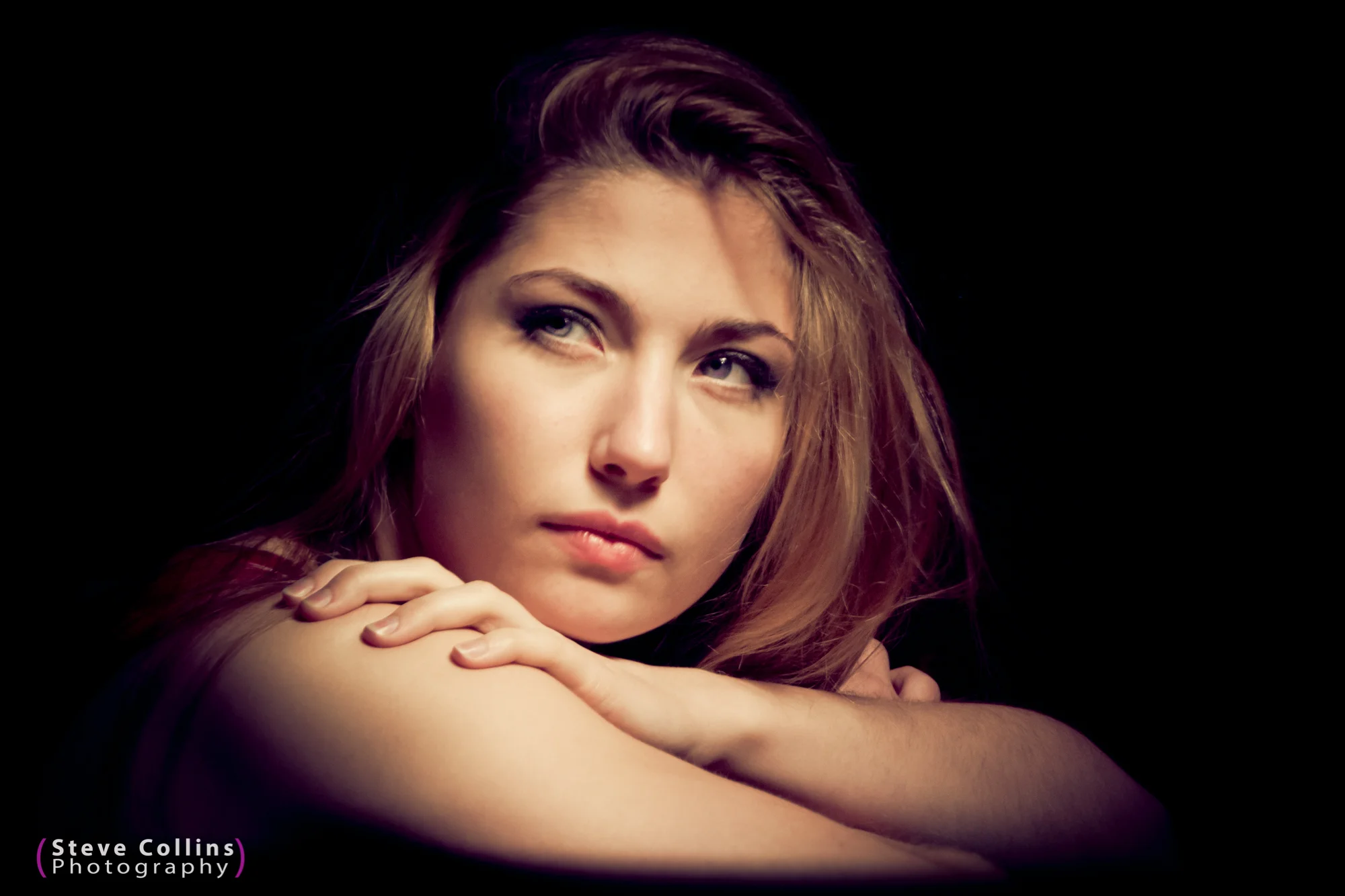Siren by Harpenden Photographer Steve Collins.jpg