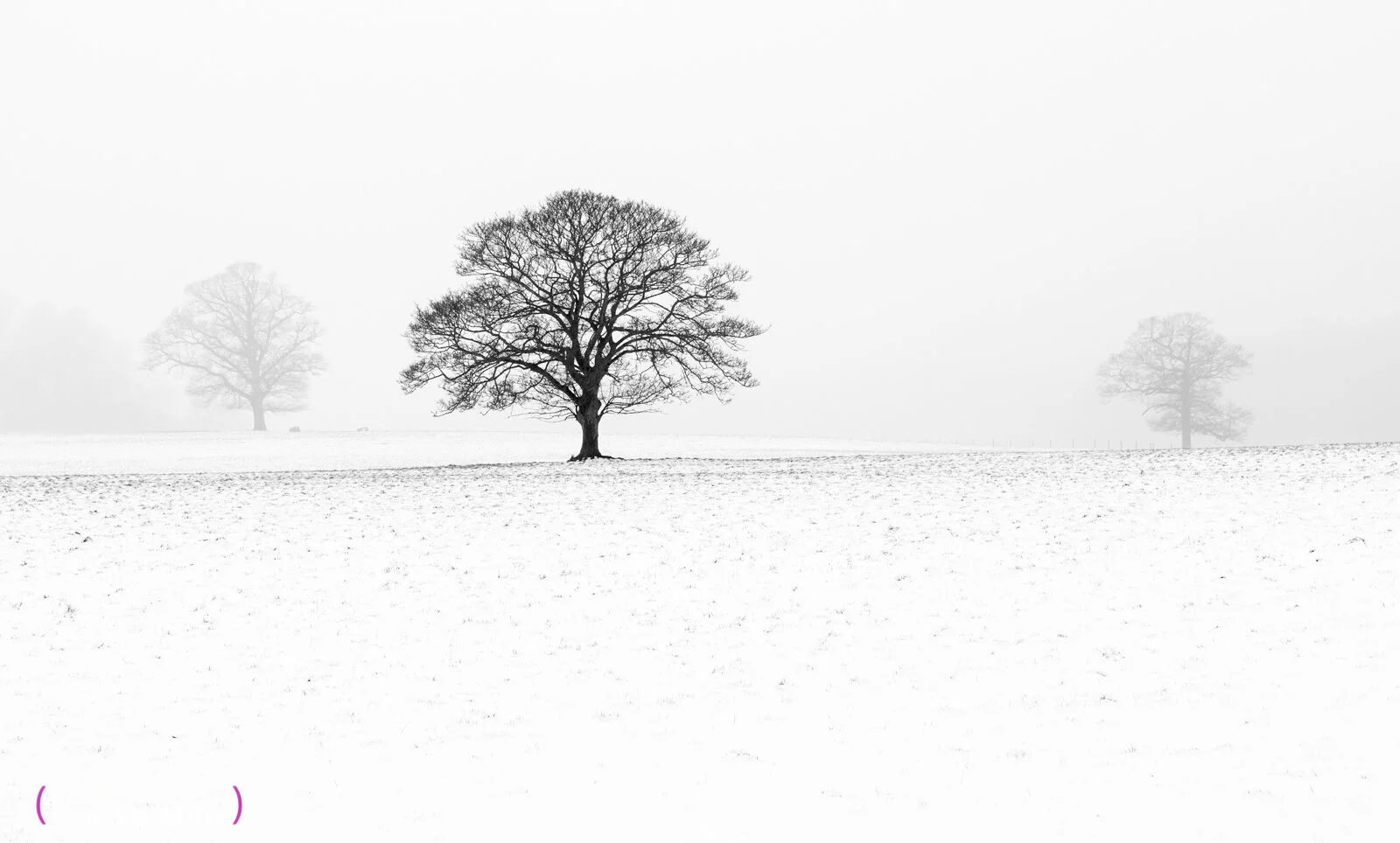 IMG_6282-Edit.jpg