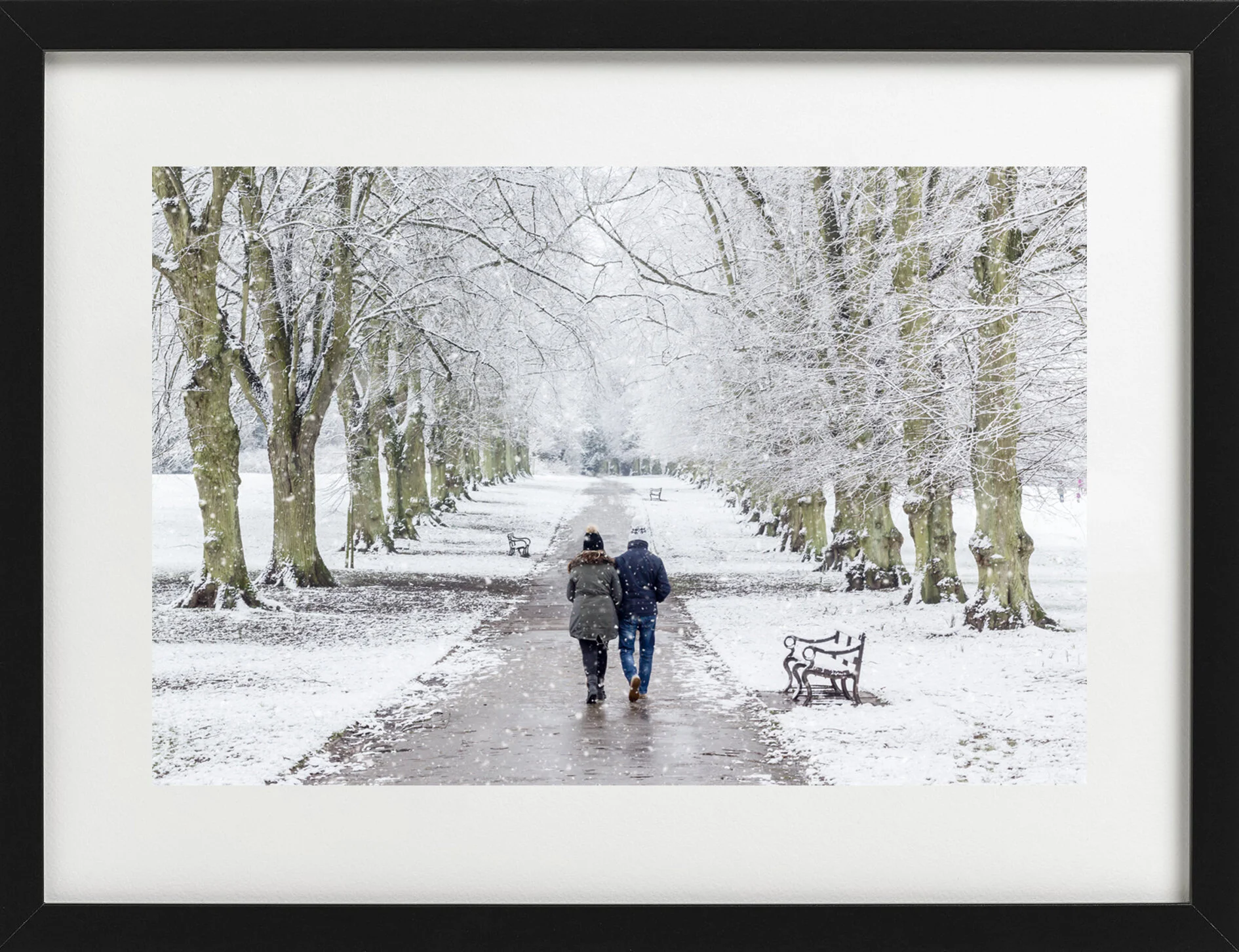 WintersWalk.jpg
