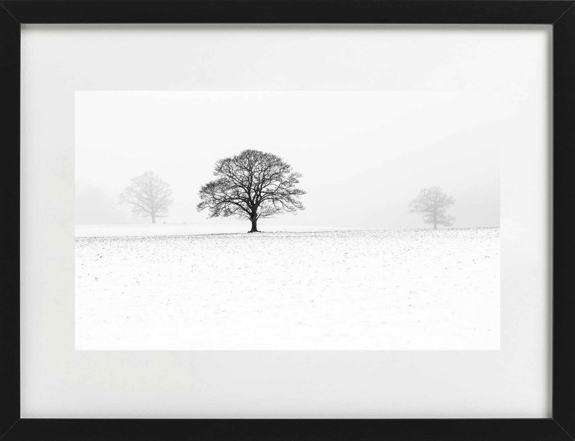 Three Treesframe.jpg