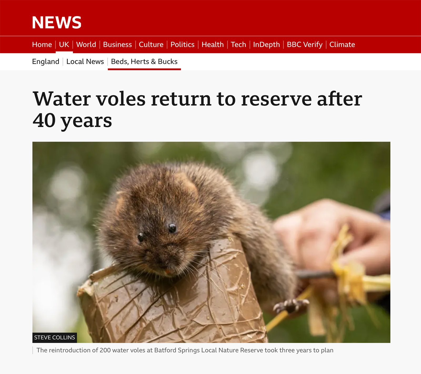 BBC_WaterVole_9June26.jpg
