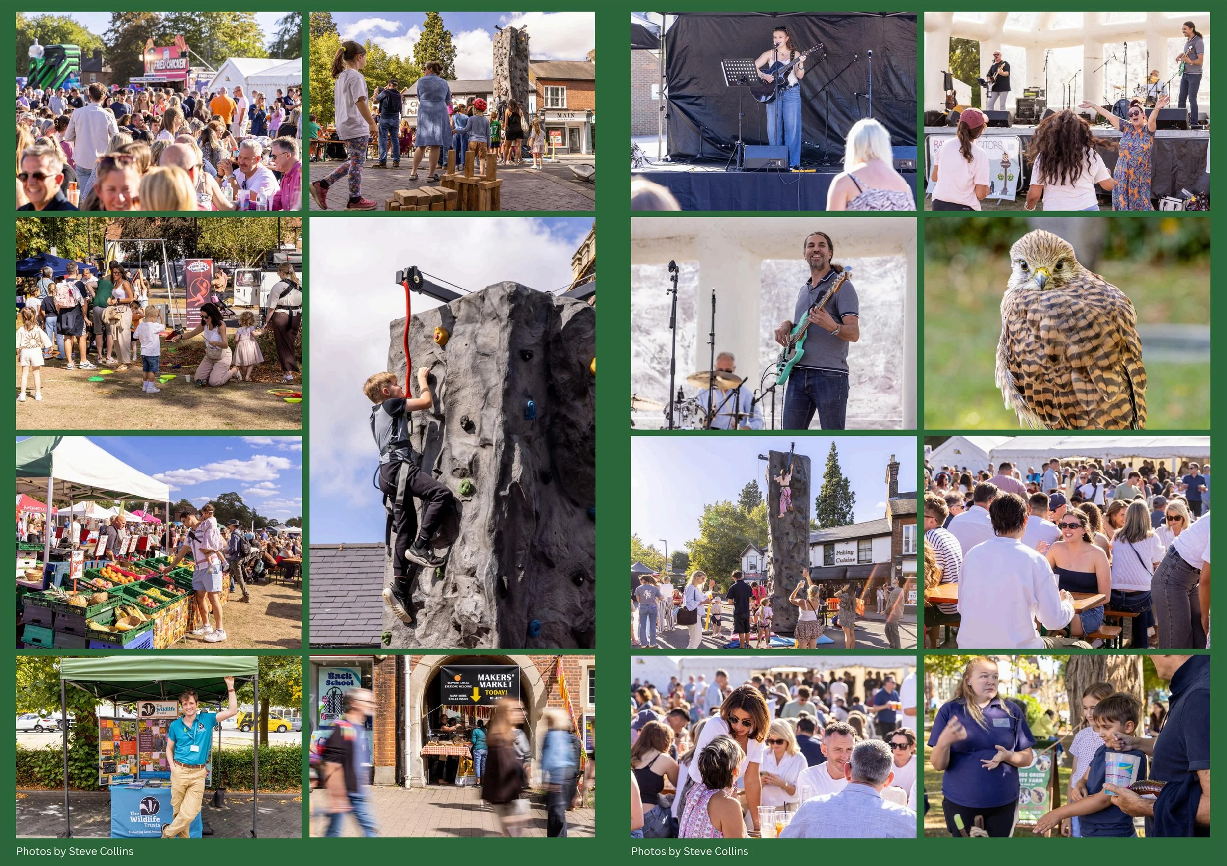 SAT_HARPFEST_5_10Sept26.jpg