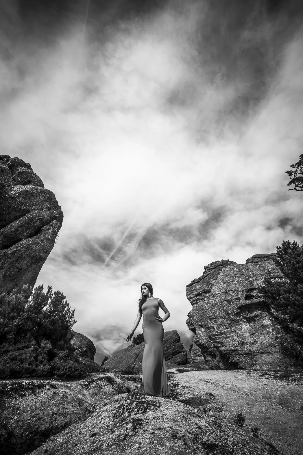 LIK Wednesday Selection WIEN