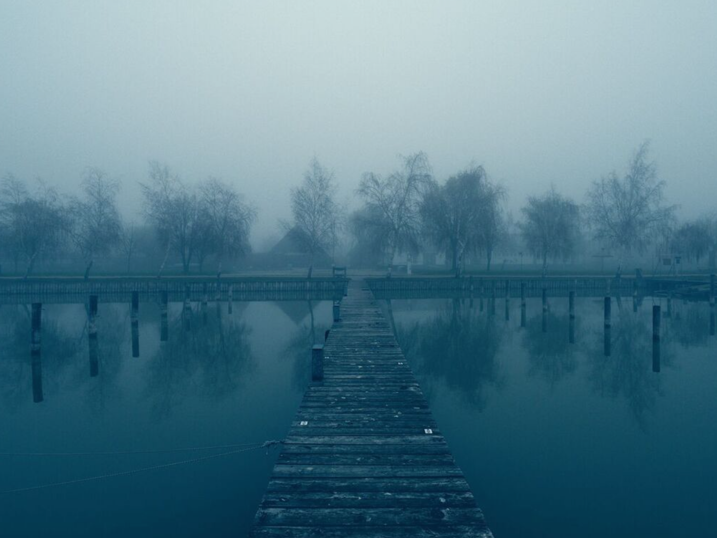 Copyright by Andreas H. Bitesnich