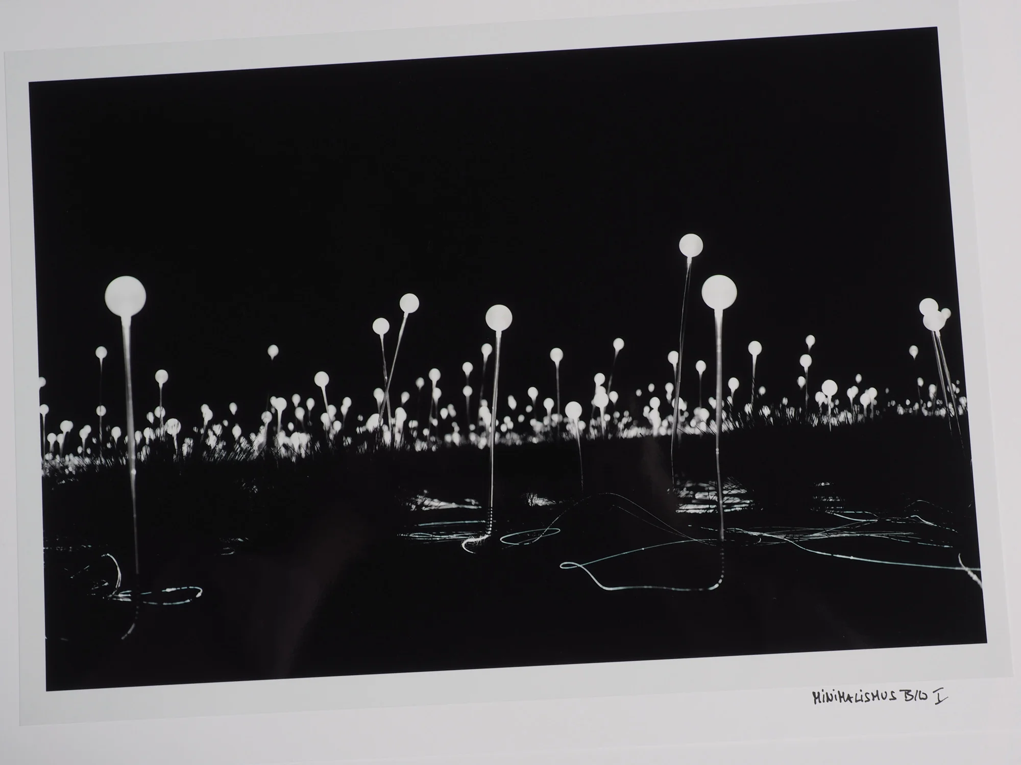 Fotos: Wolfgang Oberascher