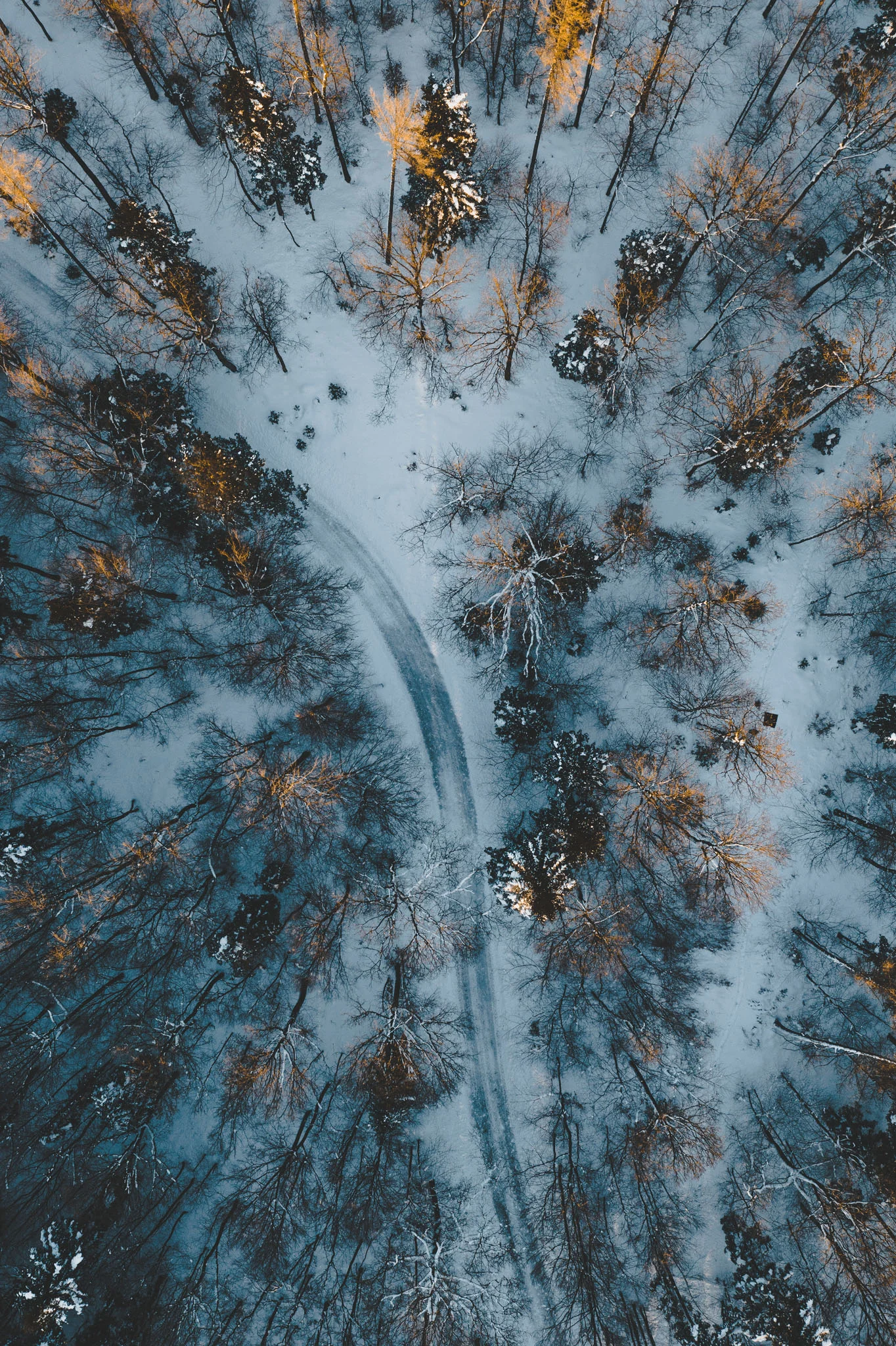 Foto: Alexander H. Nemeth