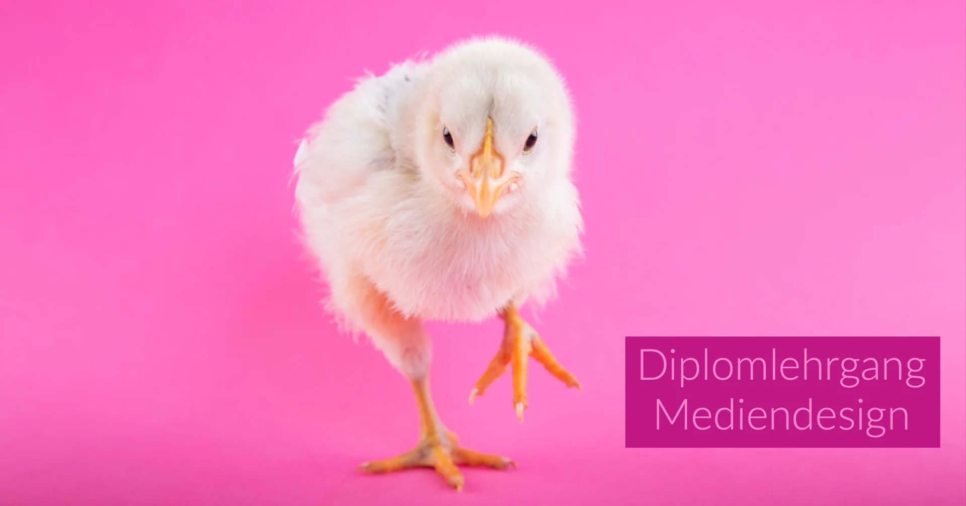 mediendesign.jpg