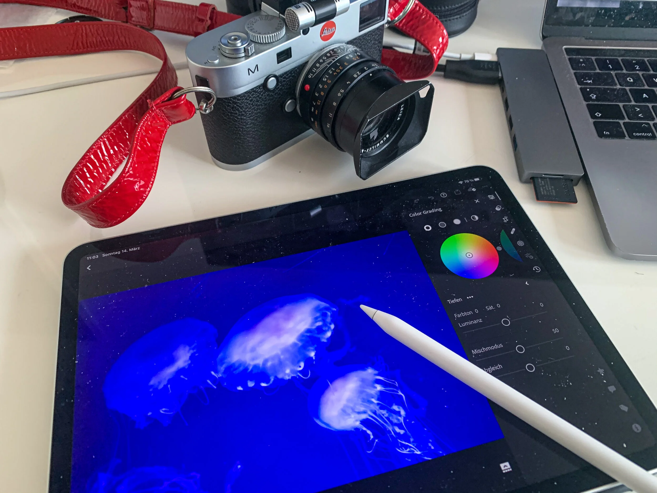 Bildungskarenz? Jetzt die Ausbildung zur Mediengestalterin an der LIK Akademie für Foto und Design machen.