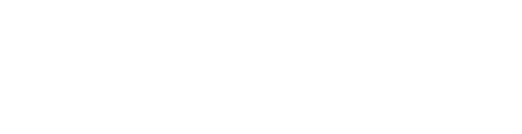 OAO_LOGO_WHITE_A.png